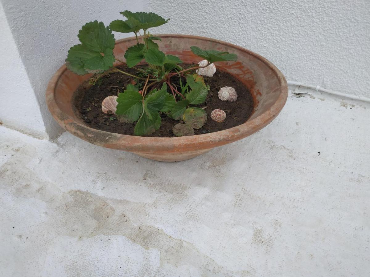 Kotetsi - To Let - - Chios