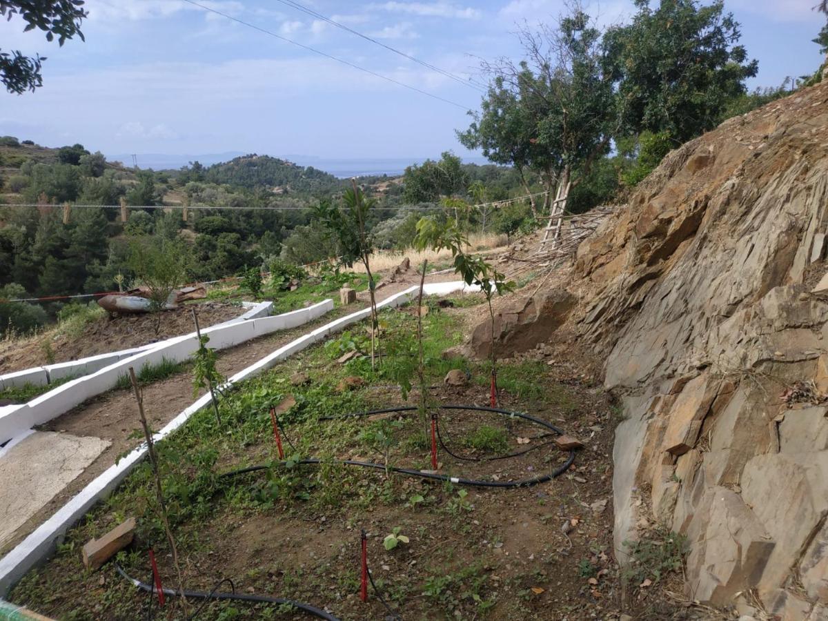 Kotetsi - To Let - - Chios Apartment *